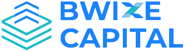 Bwize Capital